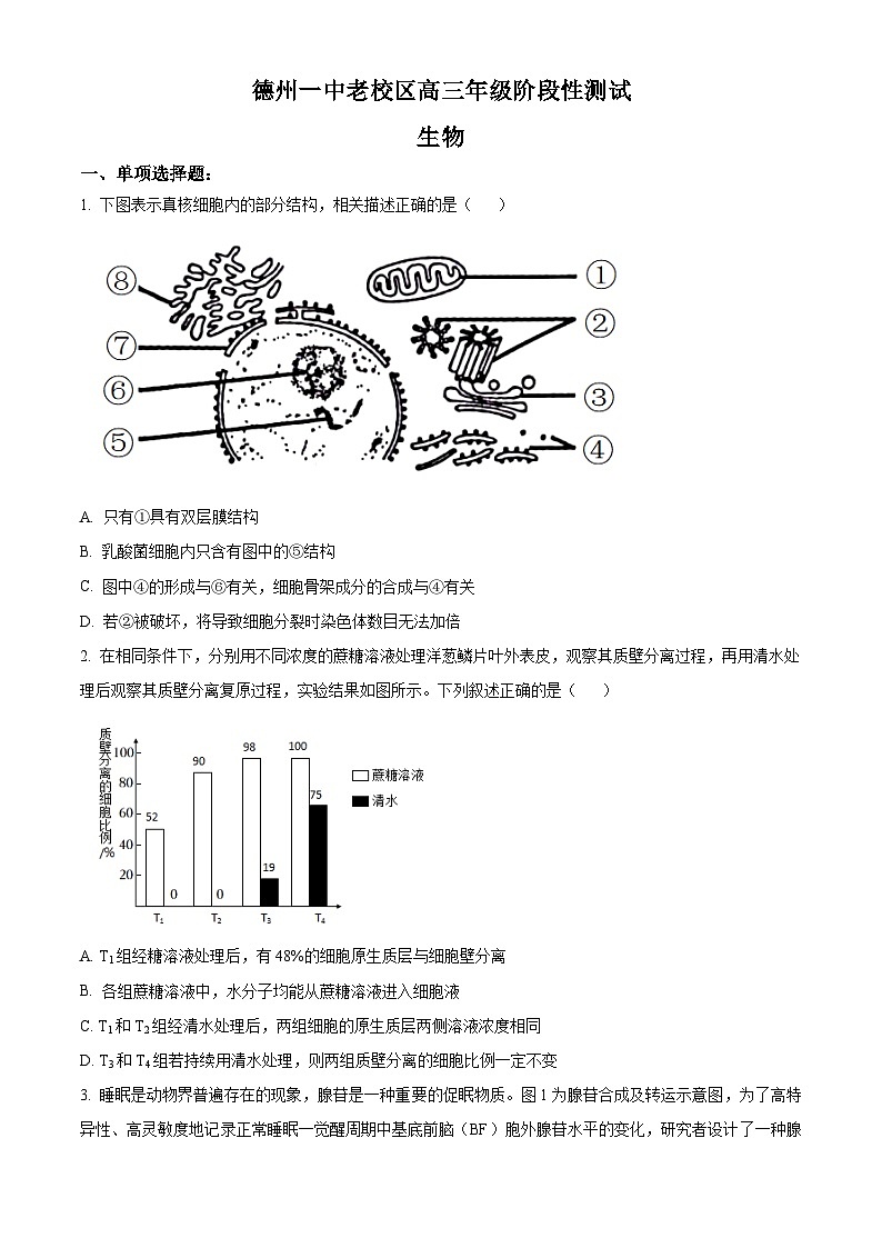 2024届山东省德州市第一中学高三三模生物试题（学生版+教师版）01