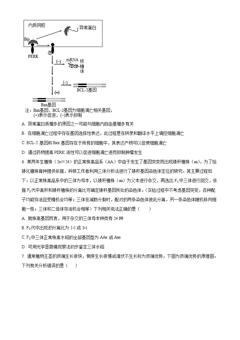 2024届山东省德州市第一中学高三三模生物试题（学生版+教师版）03