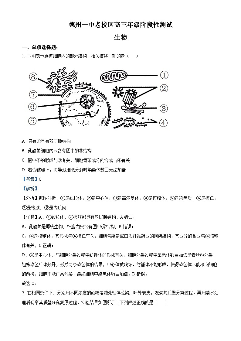 2024届山东省德州市第一中学高三三模生物试题（学生版+教师版）01