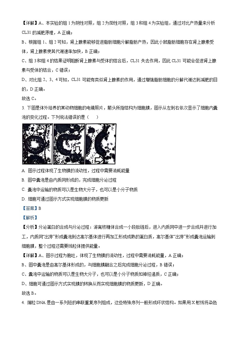 山东省青岛市2024年高三年级第二次适应性检测生物试题（教师版）第3页