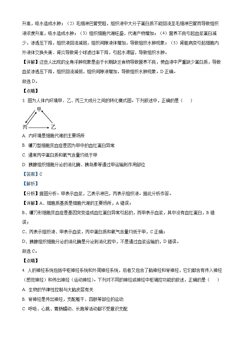 广东省广州市番禺中学2023-2024学年高二下学期期中考试生物试题（学生版+教师版）02