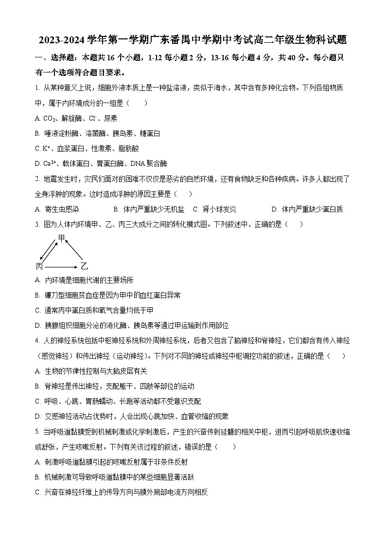 广东省广州市番禺中学2023-2024学年高二下学期期中考试生物试题（学生版+教师版）01