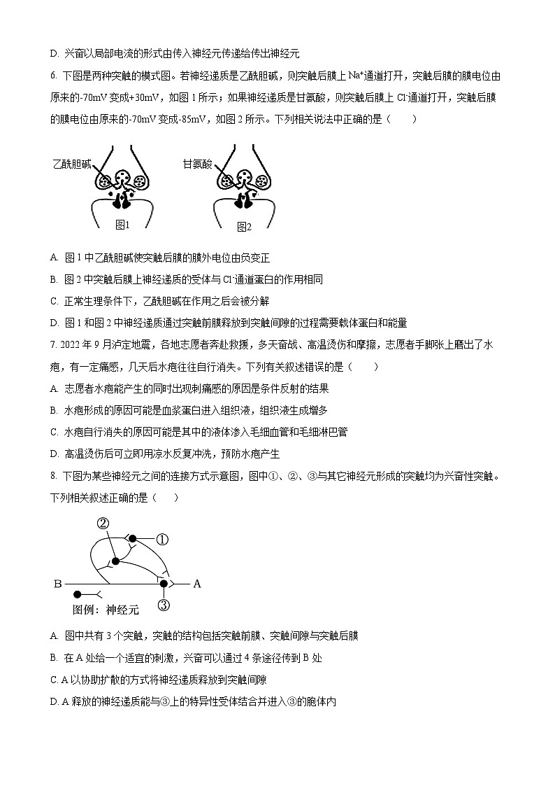 广东省广州市番禺中学2023-2024学年高二下学期期中考试生物试题（学生版+教师版）02