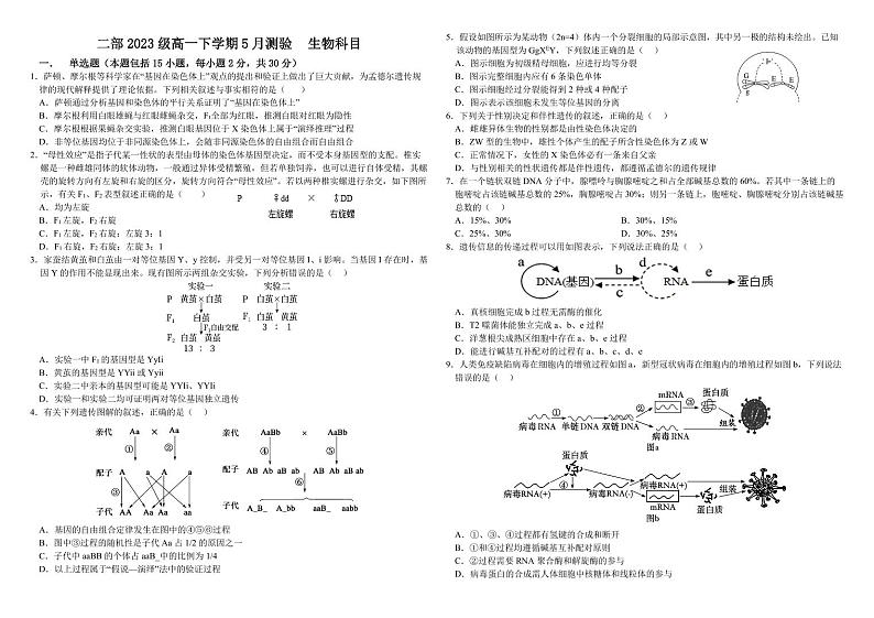山东省淄博市高青县第一中学二部2023-2024学年高一下学期5月月考生物试题01