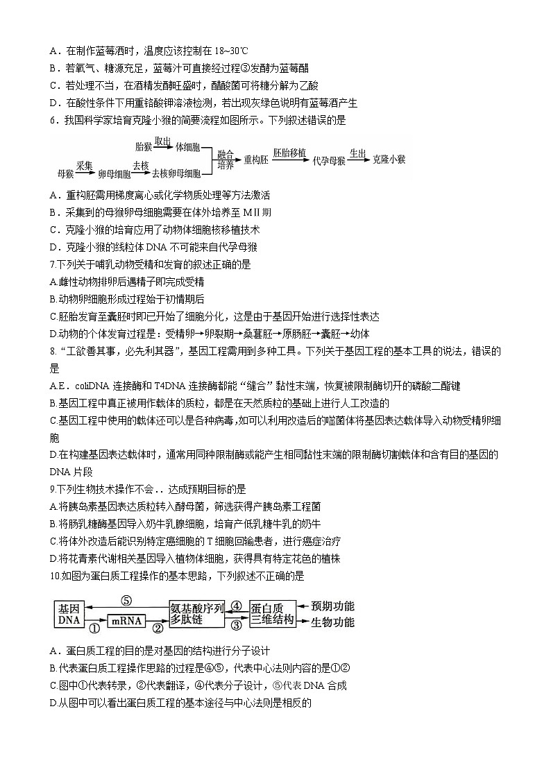 福建省德化一中、永安一中、漳平一中三校协作2023-2024学年高二下学期5月联考生物试卷（Word版附答案）02
