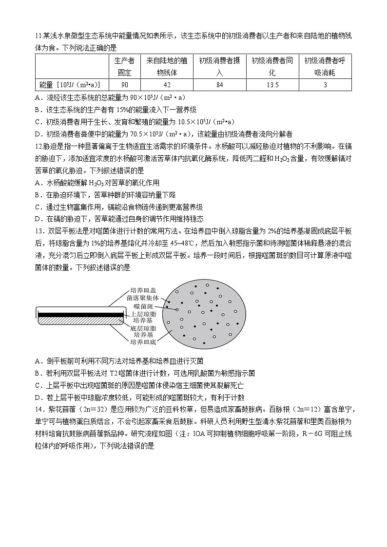 福建省德化一中、永安一中、漳平一中三校协作2023-2024学年高二下学期5月联考生物试卷（Word版附答案）03