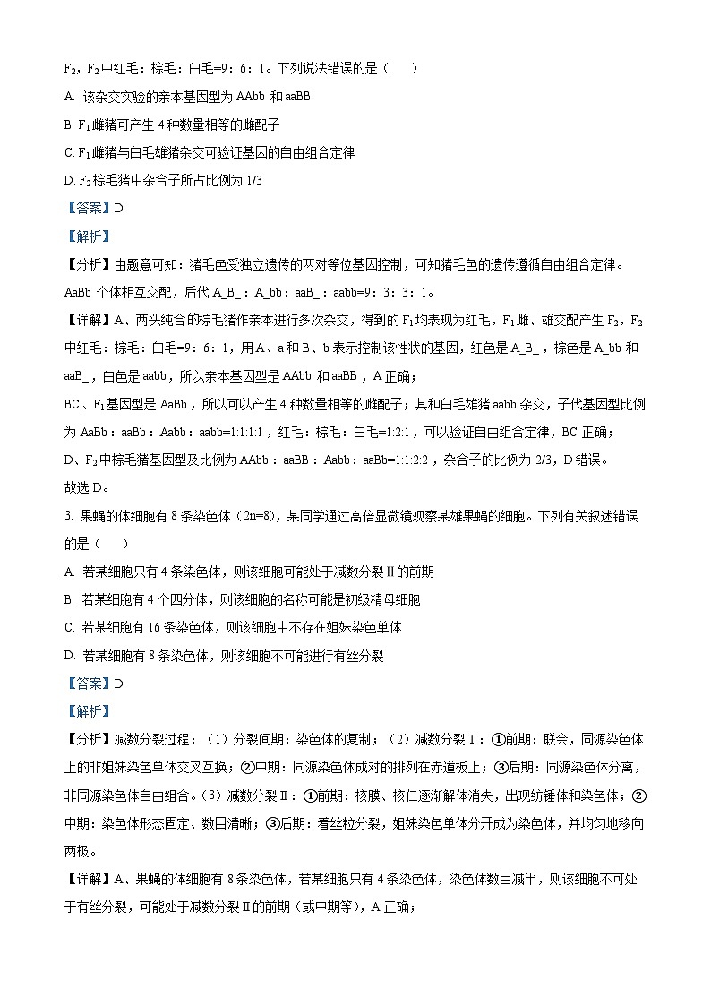 江西省抚州市金溪一中2023-2024年高一下学期第二次月考生物试卷（解析版）第2页