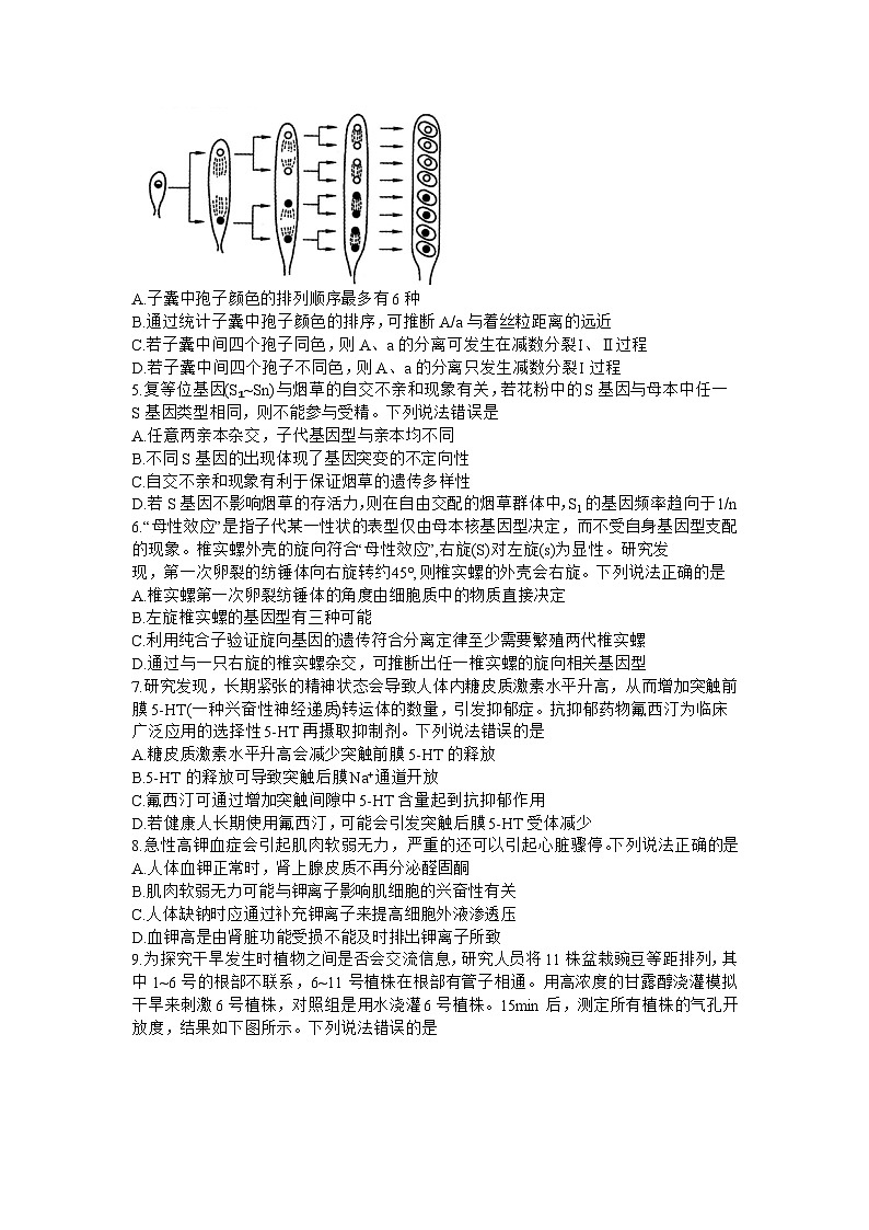 山东省潍坊市2024届高三下学期三模生物试卷（Word版附答案）02
