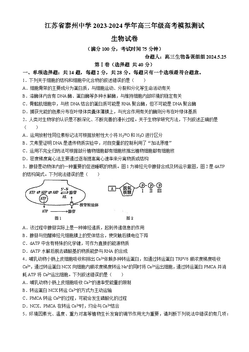 2024届江苏省泰州市海陵区泰州中学高三下学期5月模拟预测生物试题01