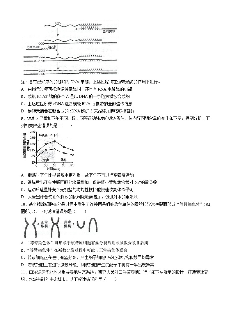 2024届江苏省泰州市海陵区泰州中学高三下学期5月模拟预测生物试题03