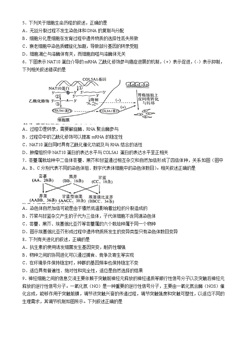 2024届山东省菏泽市高三下学期信息押题卷（二）生物试题02