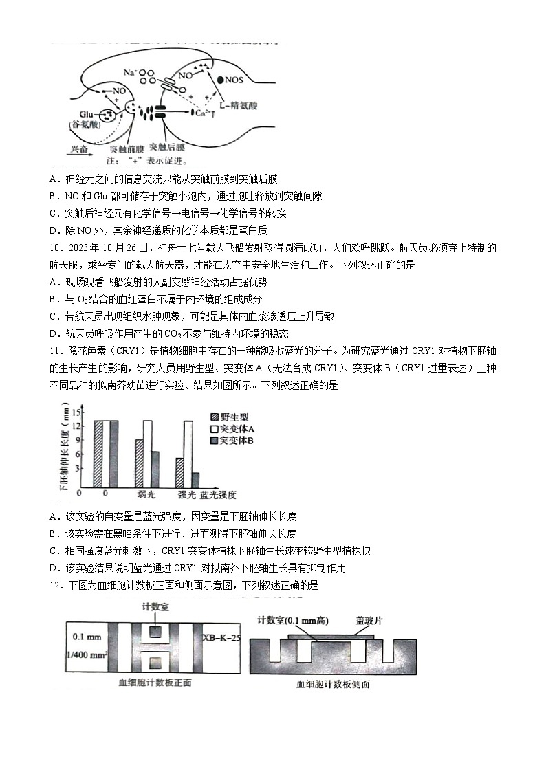 2024届山东省菏泽市高三下学期信息押题卷（二）生物试题03