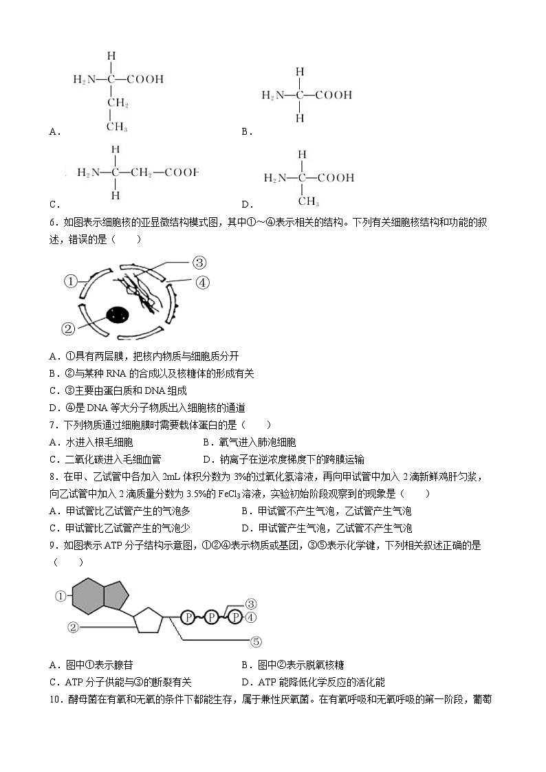 2024年山东省枣庄市普通高中学业水平模拟检测生物试题(无答案)02