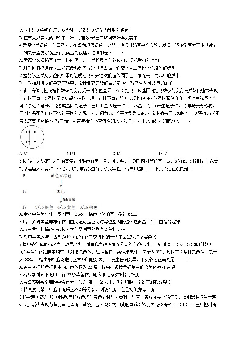 安徽省县中联盟2023-2024学年高一下学期5月联考生物试题02