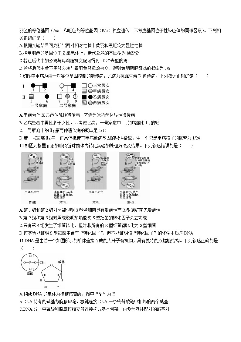 安徽省县中联盟2023-2024学年高一下学期5月联考生物试题03