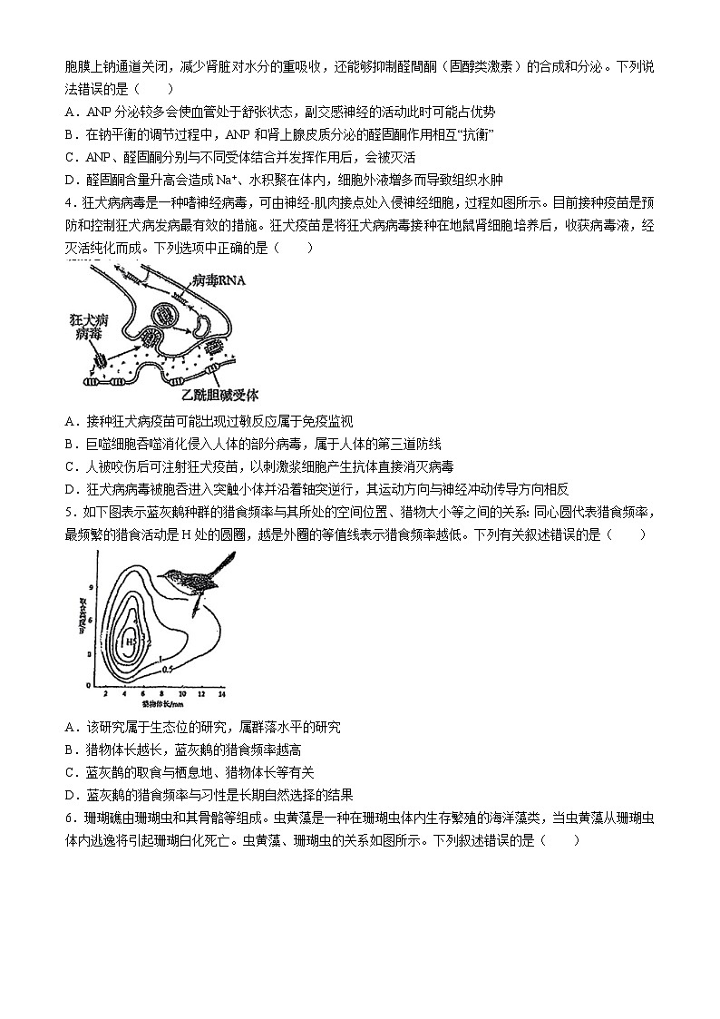 广东省六校联考2023-2024学年高二下学期5月期中生物试题(无答案)02