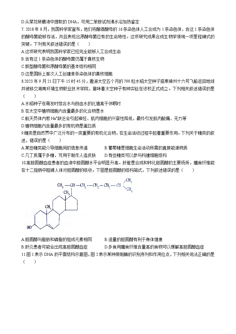 河北省衡水市桃城区第二中学2023-2024学年高二下学期5月月考生物试题(无答案)02