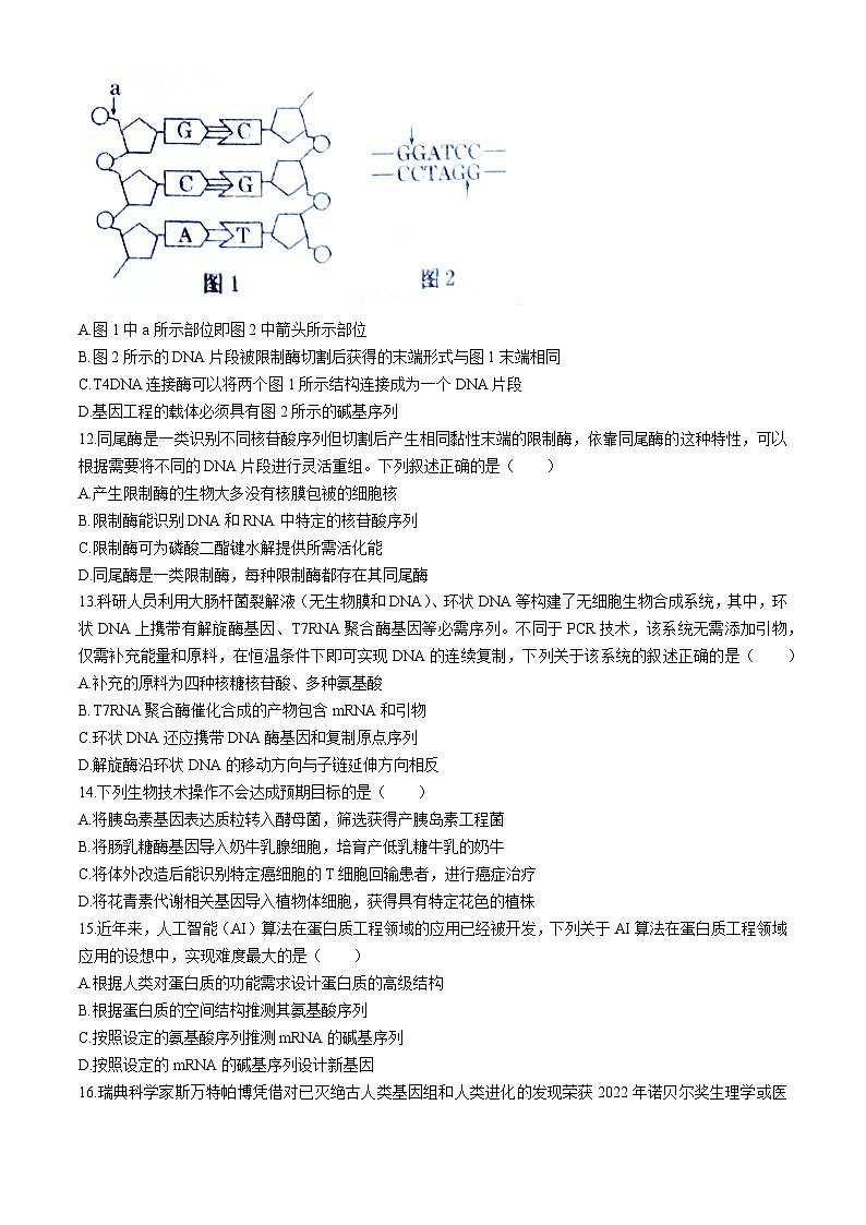 河北省衡水市桃城区第二中学2023-2024学年高二下学期5月月考生物试题(无答案)03