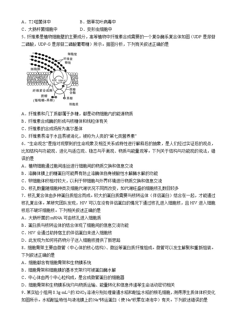 河南省创新发展联盟2023-2024学年高二下学期5月月考生物试题02