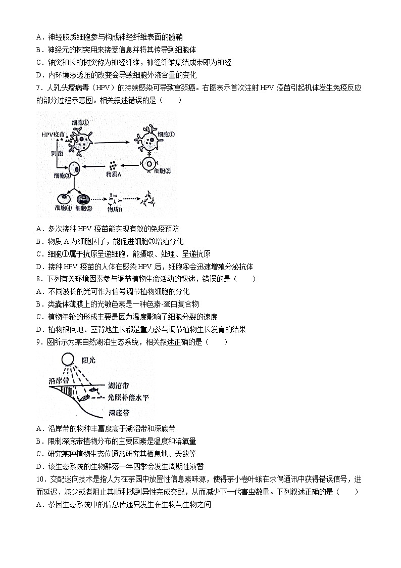 江苏省海安市实验中学等四校联考2023-2024学年高二下学期5月月考生物试题(无答案)02