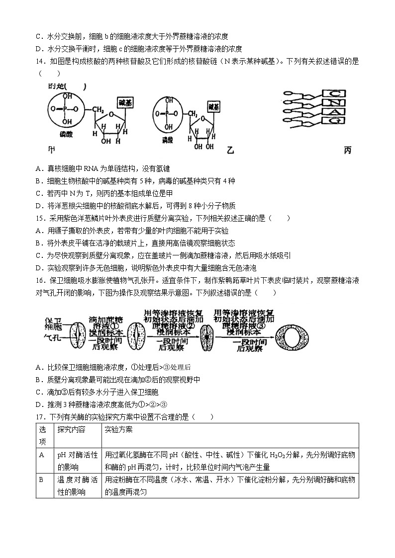 江苏省扬州市广陵区红桥高级中学2023-2024学年高二下学期5月月考生物试题(无答案)03
