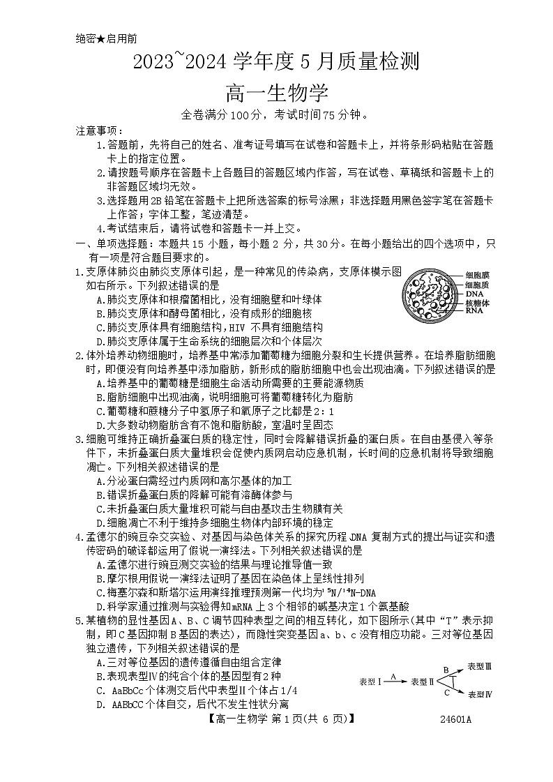 山西省临汾市2023-2024年高一下学期5月质量检测生物试题01