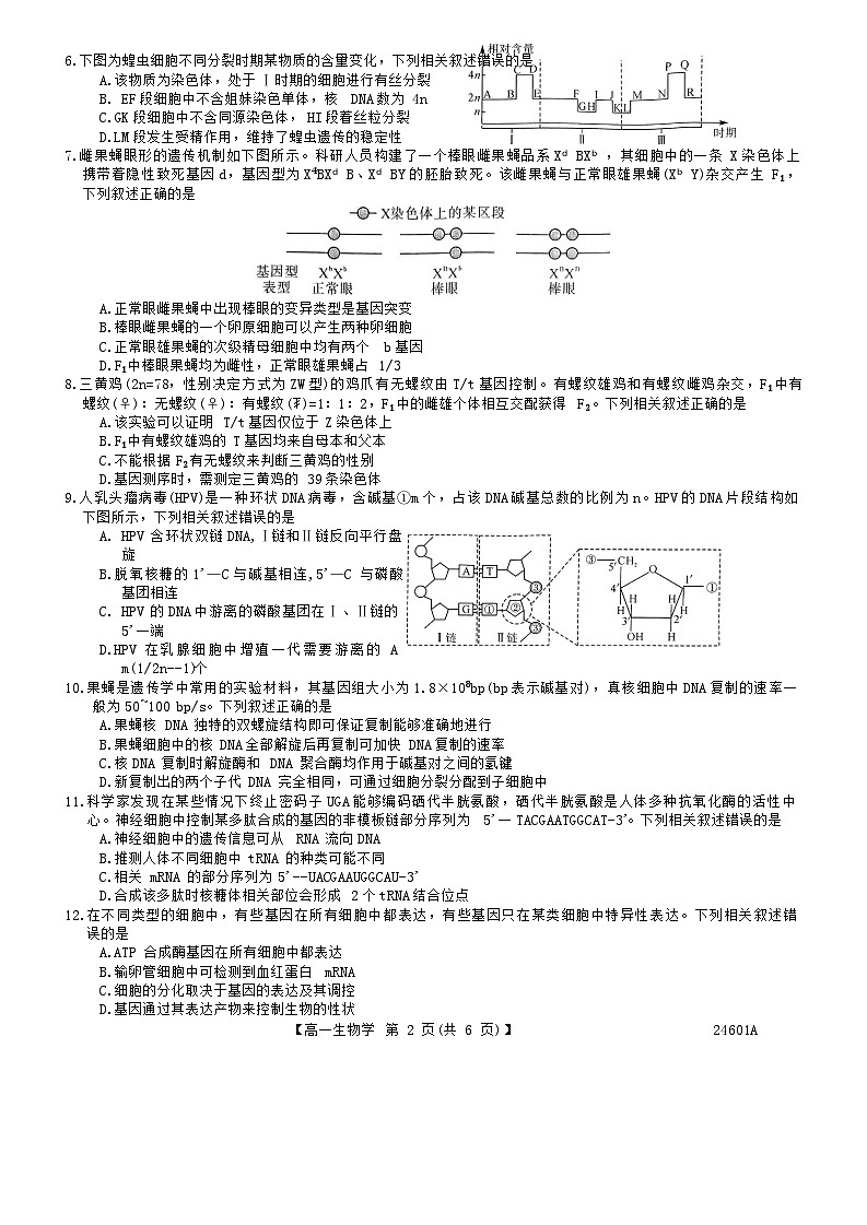 山西省临汾市2023-2024年高一下学期5月质量检测生物试题02