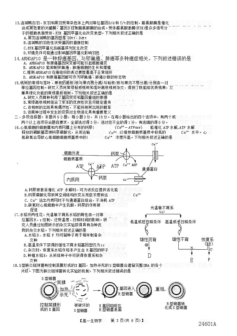 山西省临汾市2023-2024年高一下学期5月质量检测生物试题03