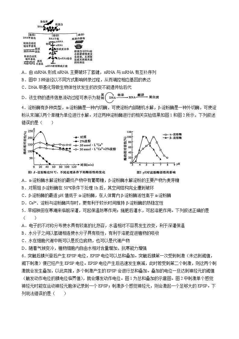2024届湖南省长沙市长郡中学高三下学期第二次模拟考试生物试题(无答案)第2页