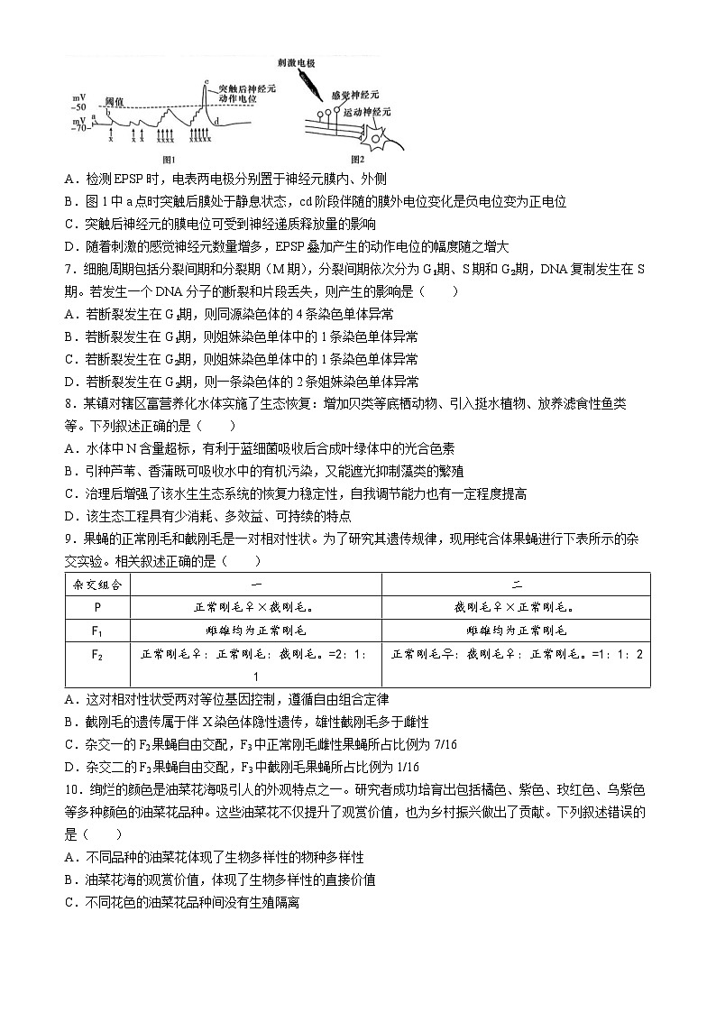 2024届湖南省长沙市长郡中学高三下学期第二次模拟考试生物试题(无答案)第3页