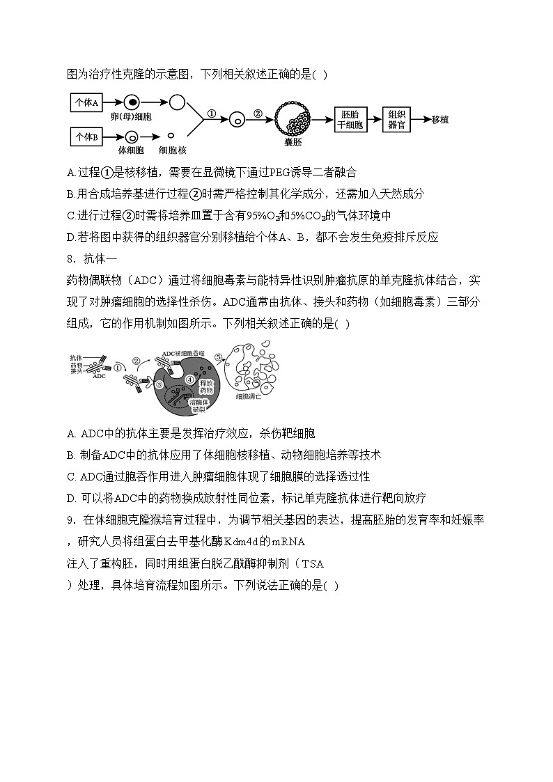 太原市第五中学校2023-2024学年高二下学期5月月考生物试卷(含答案)03