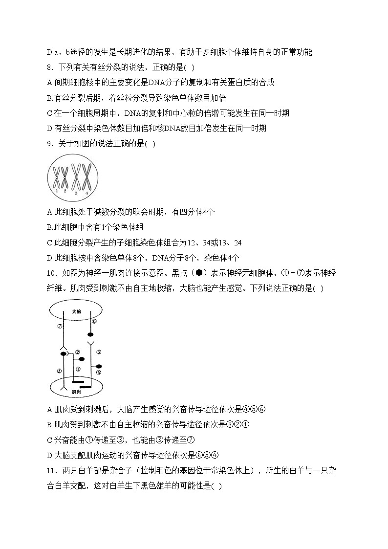 湘阴县第一中学2024届高三下学期期中考试生物试卷(含答案)03