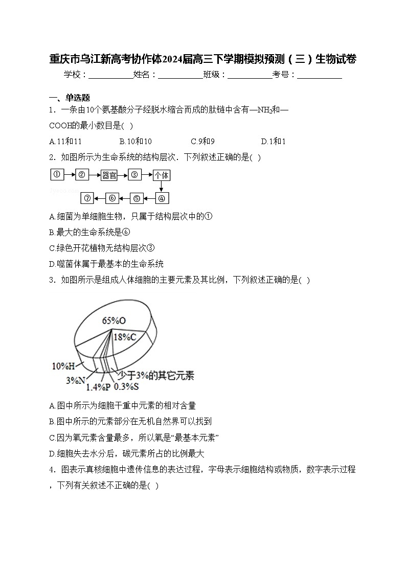 重庆市乌江新高考协作体2024届高三下学期模拟预测（三）生物试卷(含答案)01