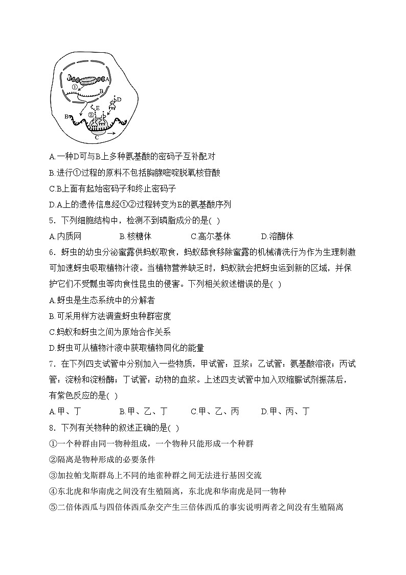 重庆市乌江新高考协作体2024届高三下学期模拟预测（三）生物试卷(含答案)02