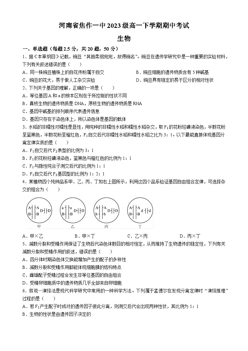 河南省焦作市解放区第一中学2023-2024学年高一下学期期中考试生物试题01