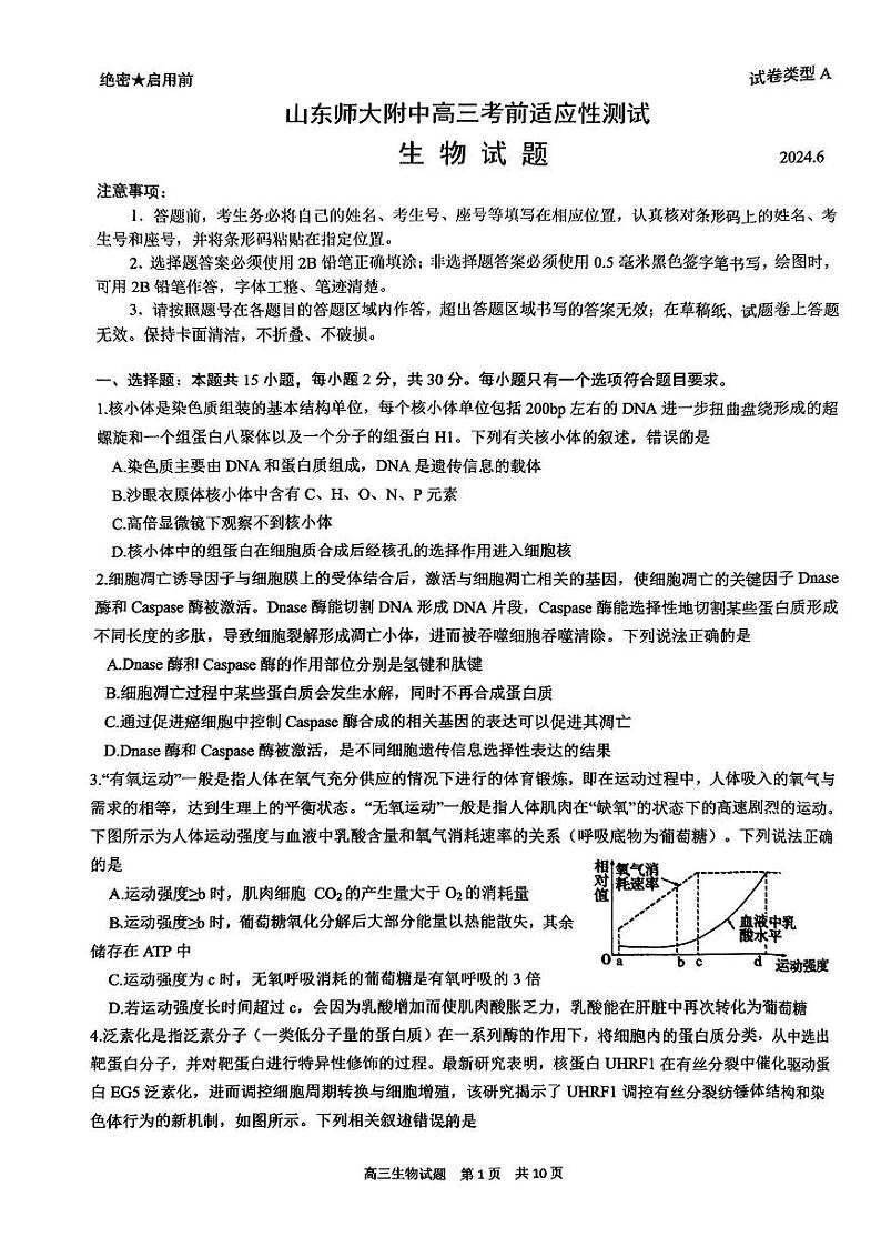 山东省山东师范大学附属中学2024届高三考前适应性测试生物试题+答案第1页