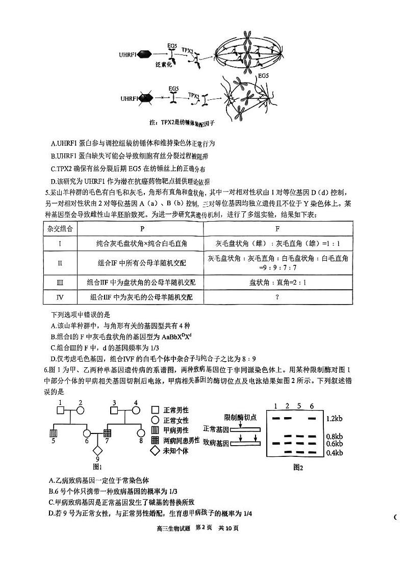 山东省山东师范大学附属中学2024届高三考前适应性测试生物试题+答案第2页