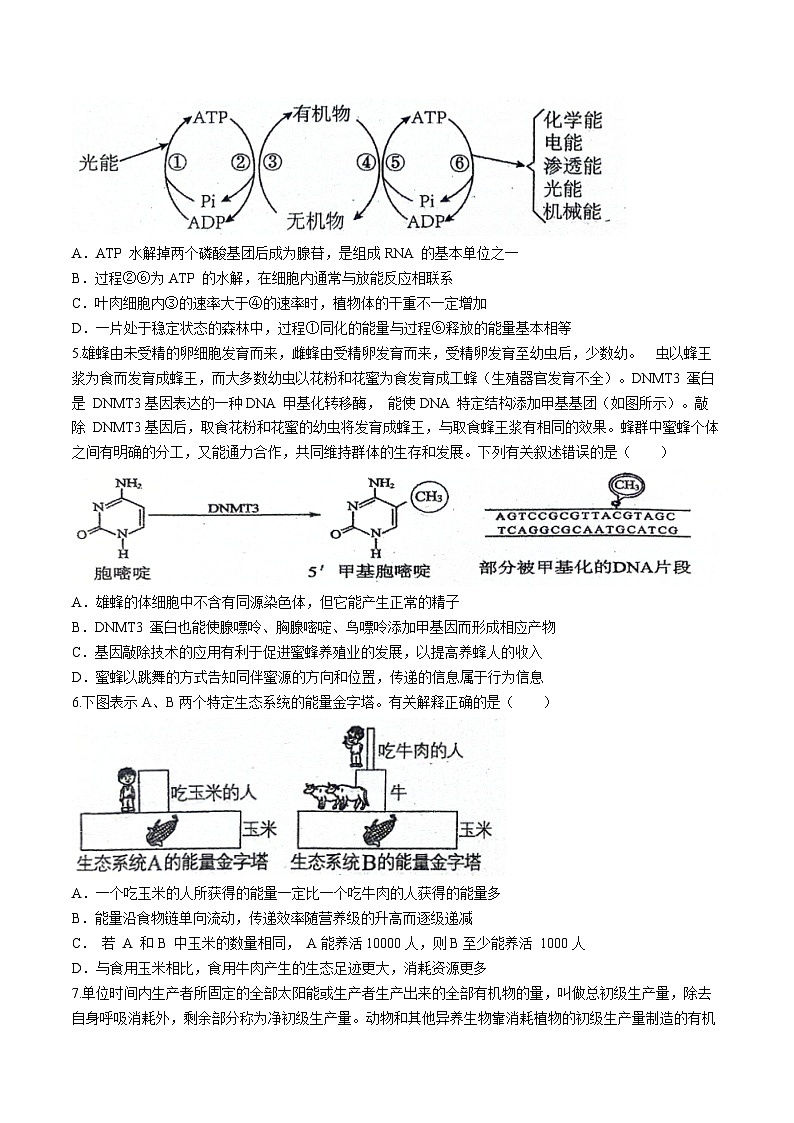 广东省梅州市兴宁市第一中学2023-2024学年高二下学期6月月考生物试题02