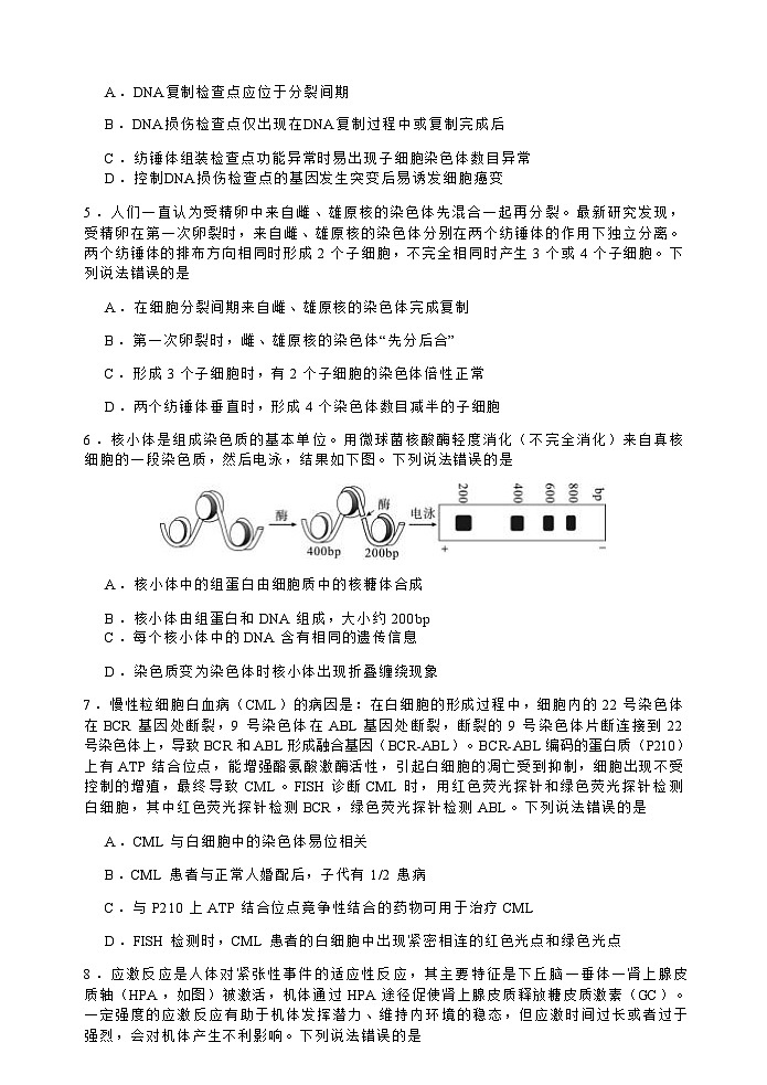 生物学试卷第3页