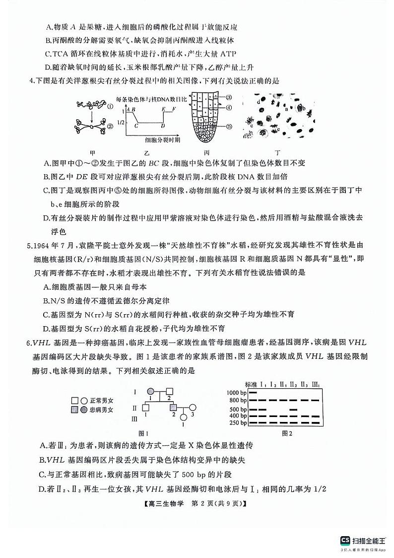 湖南名校联盟2024届髙三5月适应性考试生物试卷第2页
