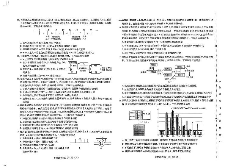 2024届三省三校高三下学期第四次联合模拟生物试题第2页