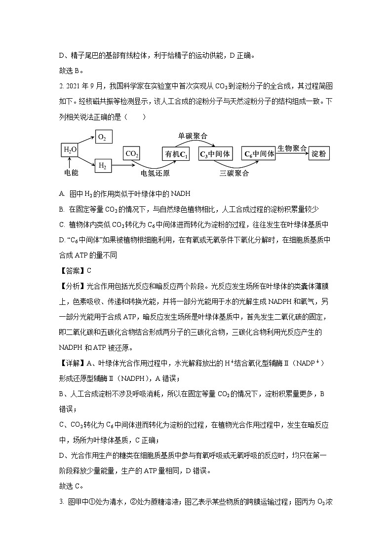 生物：湖北省省联考2023-2024学年高二下学期5月月考试题（解析版）第2页