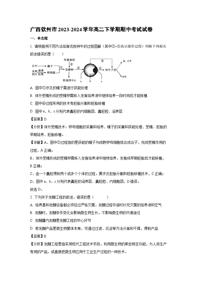 生物：广西钦州市2023-2024学年高二下学期期中考试试卷（解析版）01