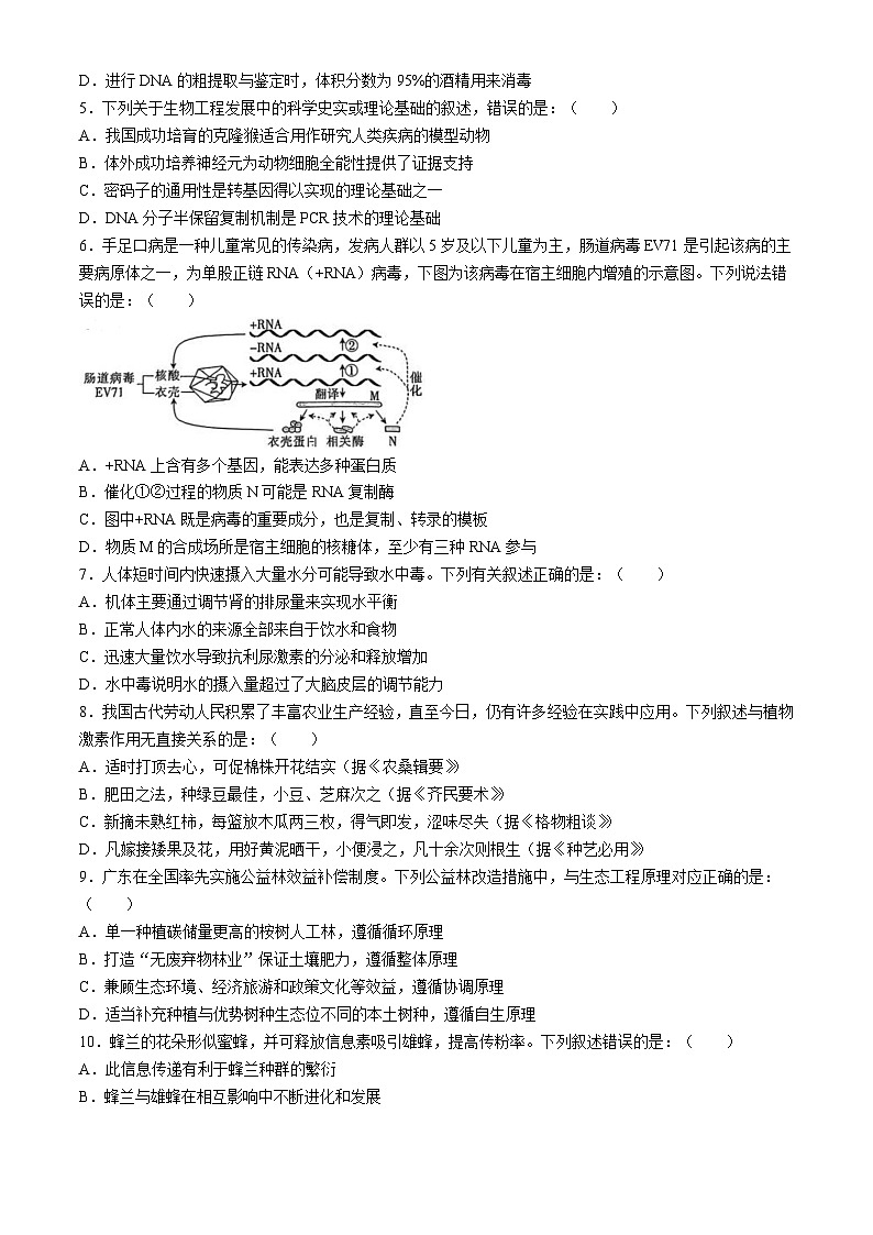 广东省清远市五校2023-2024学年高二下学期5月联考生物试题（Word版附答案）02