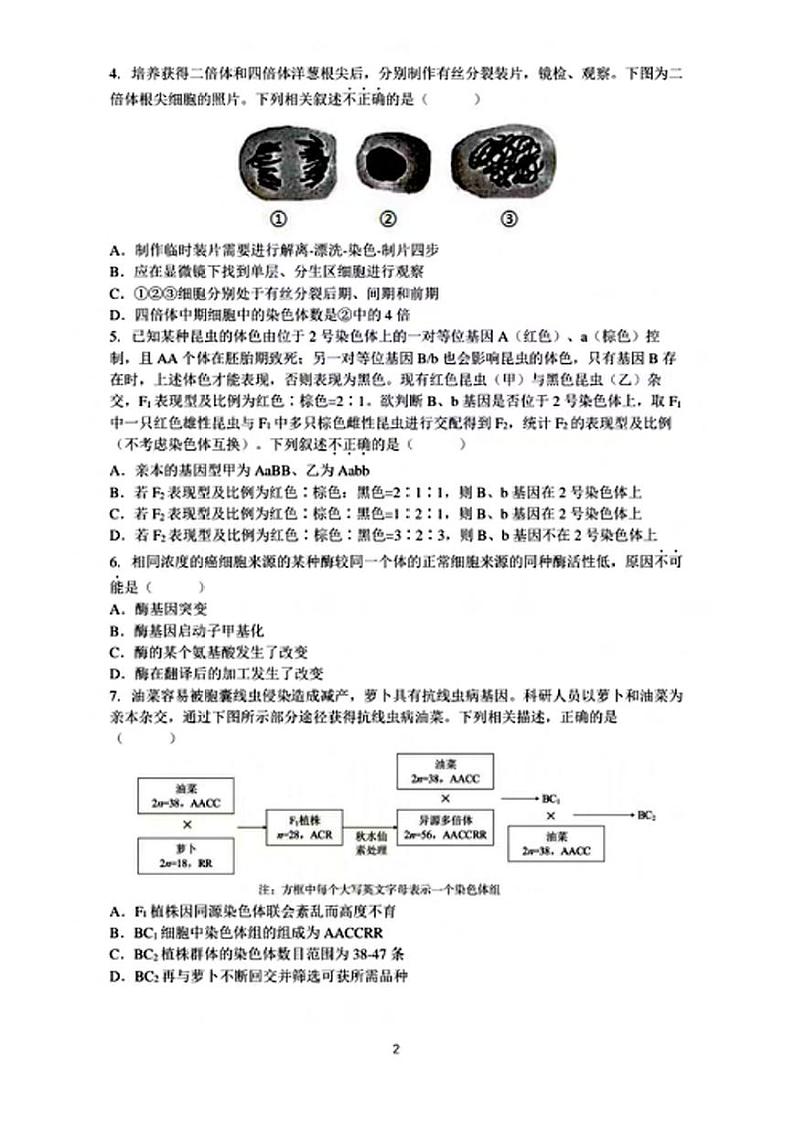 2024北京人大附中高三三模生物试题及答案第2页
