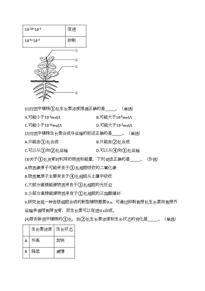 上海市黄浦区2024届高三下学期二模生物试卷(含答案)03