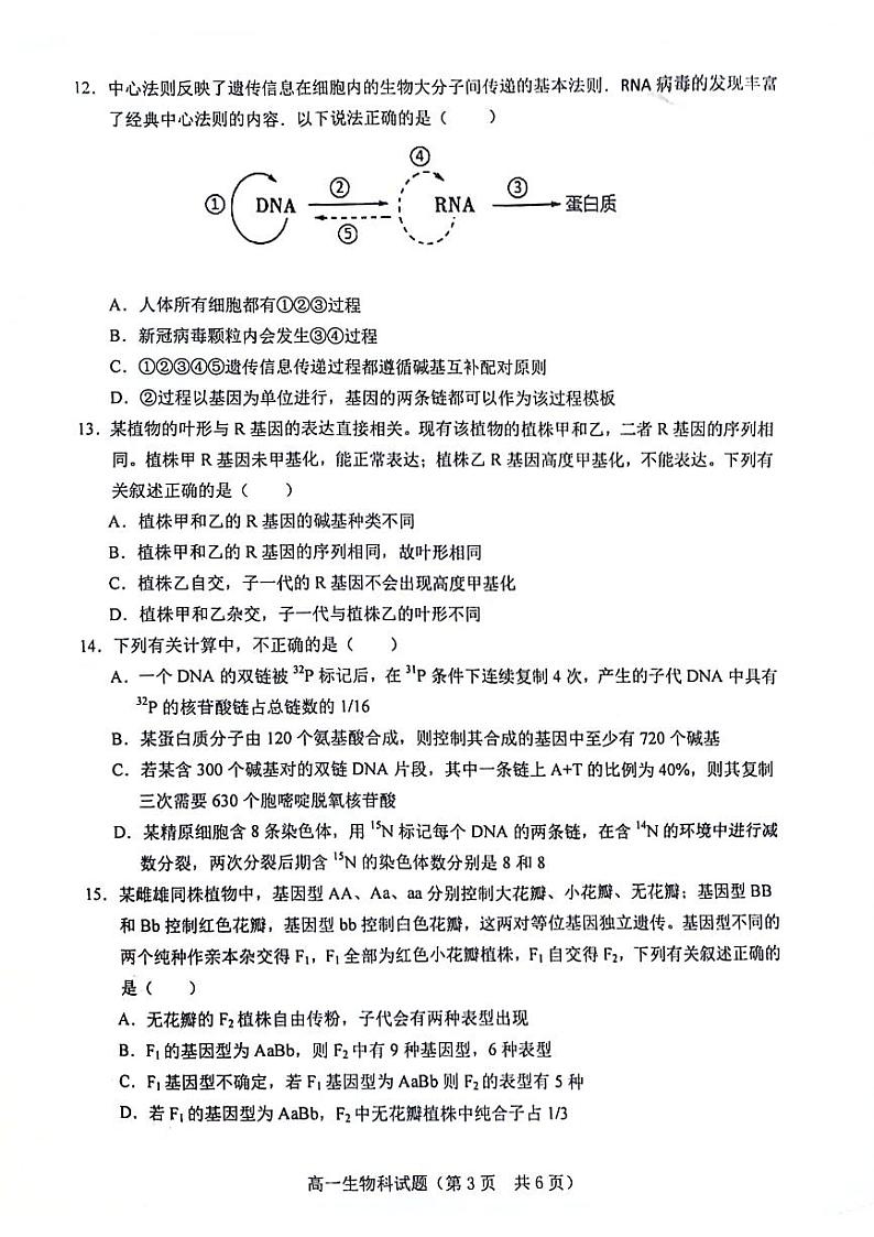 海南省省直辖县级行政单位琼海市嘉积中学2023-2024学年高一下学期6月期中生物试题03