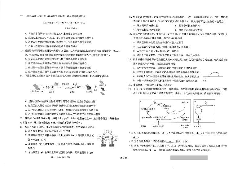 江苏省南通市海安高级中学2023-2024学年高二下学期第二次月考生物试题02