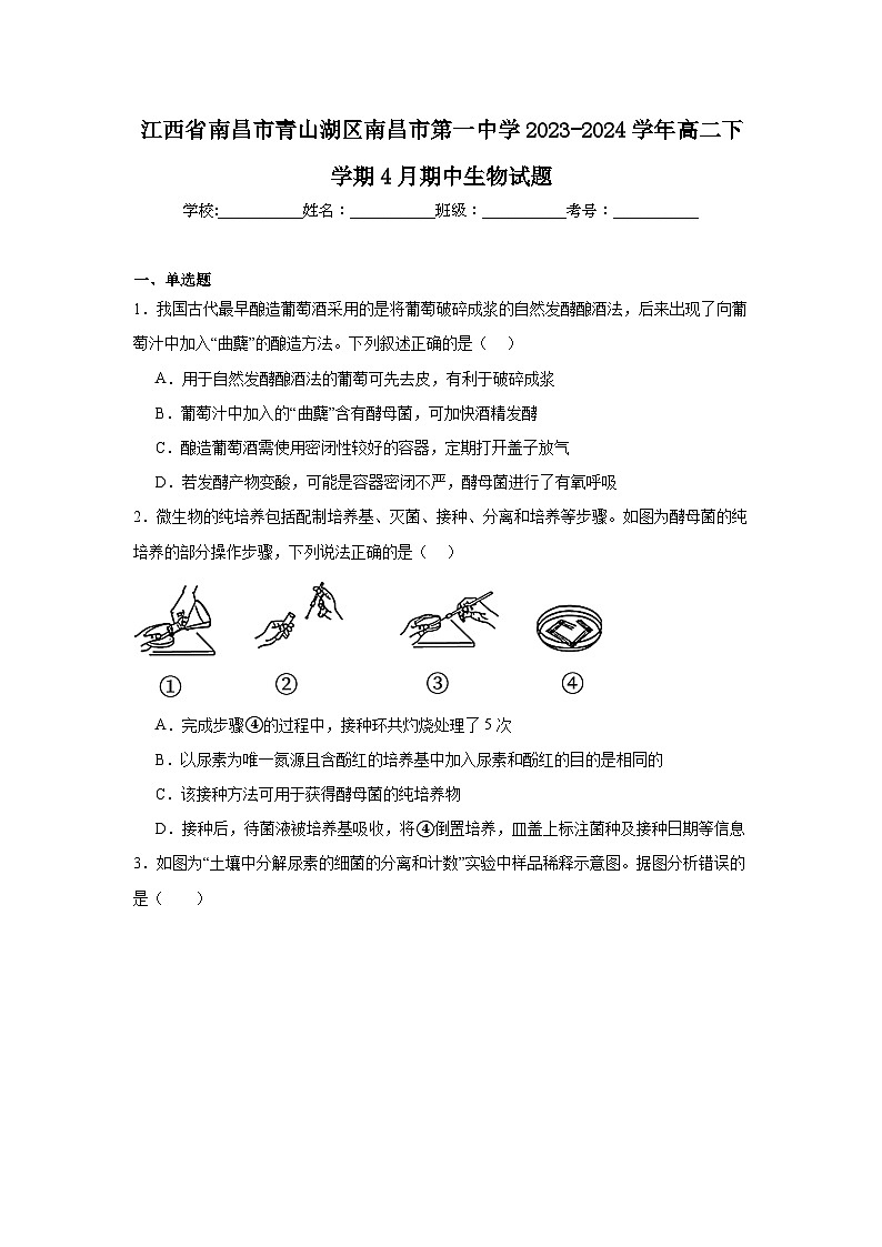 江西省南昌市青山湖区第一中学2023-2024学年高二下学期4月期中生物试题01