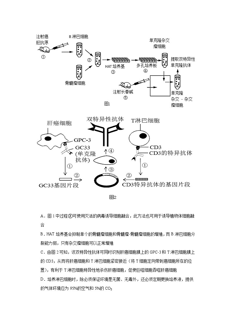 江西省南昌市青山湖区第一中学2023-2024学年高二下学期4月期中生物试题03